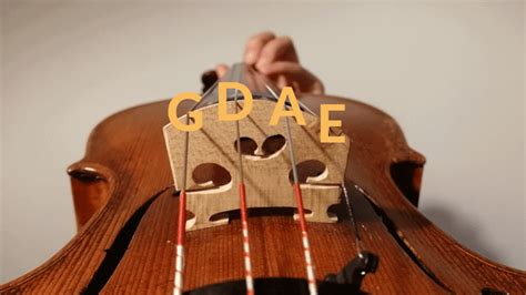 what are the best quality violin strings